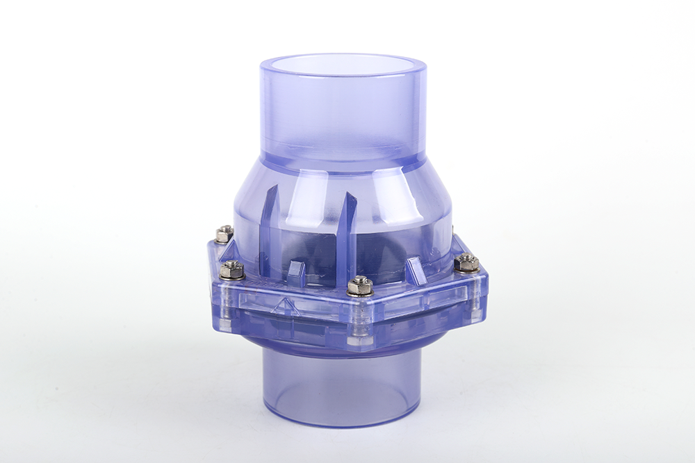 台前透明翻板式止回阀